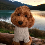 Cotton candy sweater