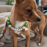 Lucky Charm Necklace