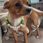 Lucky Charm Necklace