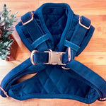 Meet Me At Midnight Blue Velvet Harness