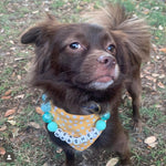 Life’s a Beach Necklace