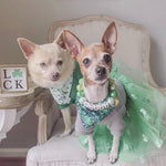 Lucky Charm Necklace