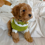 Daisy Fields Warm Sweater