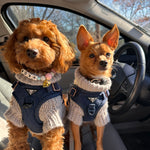 Meet Me At Midnight Blue Velvet Harness