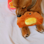 Croissant Squeaky Toy