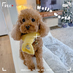 Baby it’s cold outside scarf