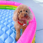 “Name in the stars” necklace