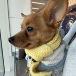 Baby it’s cold outside scarf