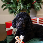 Christmas Dog Toys