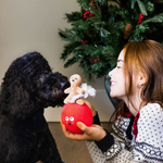 Christmas Dog Toys