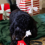 Christmas Dog Toys