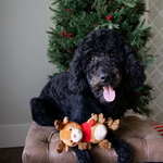 Christmas Dog Toys