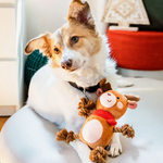Christmas Dog Toys