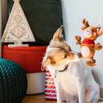 Christmas Dog Toys