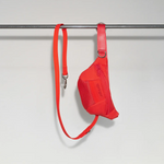 Sling Bag and Leash