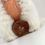 Be A Cookie, Wouldn’t Ya?