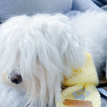 Baby it’s cold outside scarf