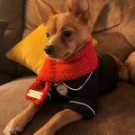 Baby it’s cold outside scarf