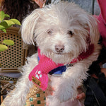 Baby it’s cold outside scarf